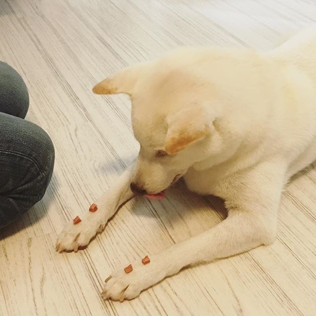 がまんかまん…（銀ちゃん、舌が饒舌だなあ）